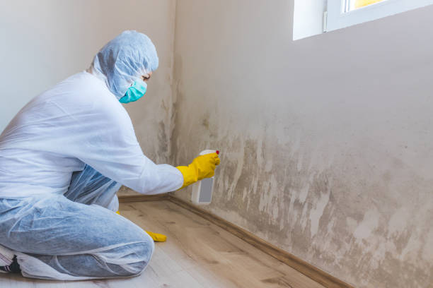 Licensed Mold Removal service in Woodward, PA - WQB Mold Removal